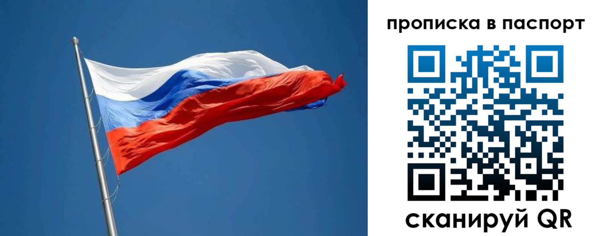 прописка паспорт в Владимире