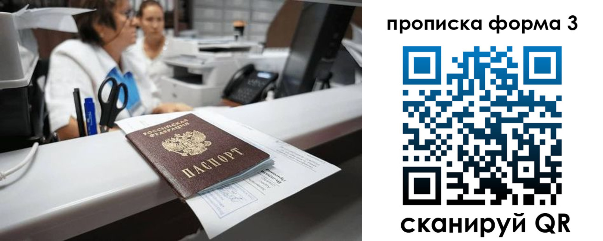 прописка паспорт в Владимире